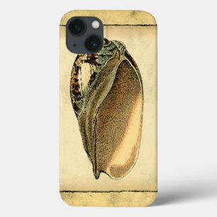 Rustic Vintage Seashell iPhone 13 Case