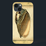 Rustic Vintage Seashell iPhone 13 Case<br><div class="desc">This artwork by Vision Studio captures some of the best ocean sea life's. Get this rustic piece of artwork of this Conch shell. Take the ocean with you everywhere you go.</div>