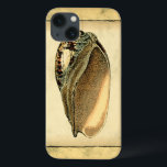 Rustic Vintage Seashell iPhone 13 Case<br><div class="desc">This artwork by Vision Studio captures some of the best ocean sea life's. Get this rustic piece of artwork of this Conch shell. Take the ocean with you everywhere you go.</div>