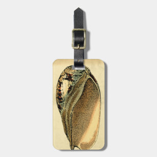 Rustic Vintage Seashell Luggage Tag
