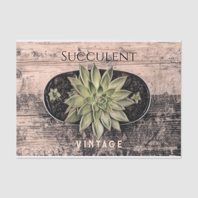 Rustic Vintage Succulent Green Botanical Ephemera Tissue Paper (Front)