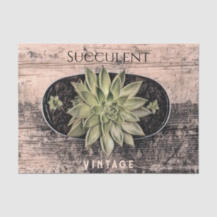 Rustic Vintage Succulent Green Botanical Ephemera Tissue Paper