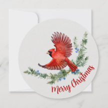 Rustic Watercolor Bird Red Cardinal Christmas