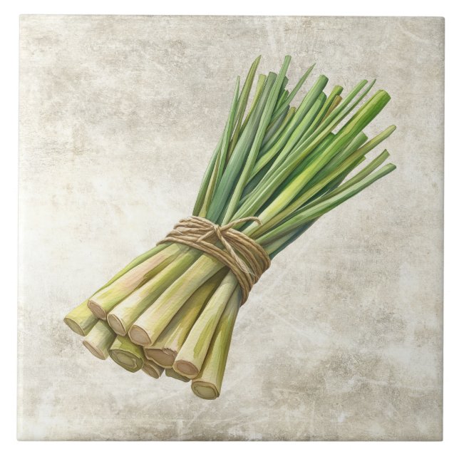 Rustic Watercolor Herbs Leeks with Twine Design Tile (Front)