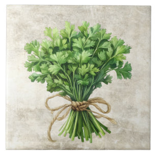 Rustic Watercolor Herbs Parsley with Twine Design Tile
