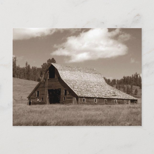 Rustic Weathered Barn Sephia Postcard (Front)