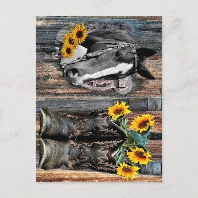 Rustic Western Horse Cowboy boots Sunflowers Postcard (Front)