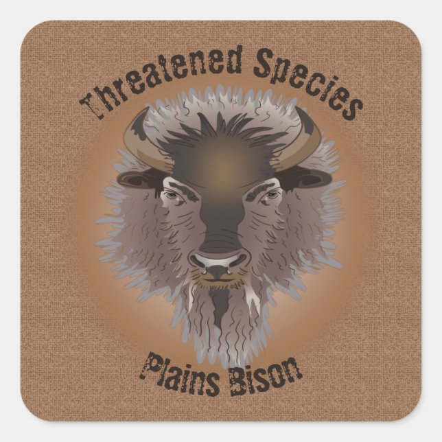 Rustic Western Plains Bison Square Sticker (Front)