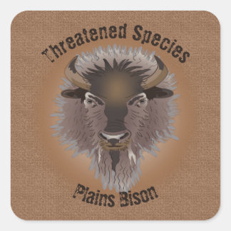 Rustic Western Plains Bison Square Sticker