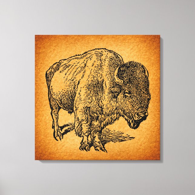 Rustic Western Wild Buffalo Bison Antique Art Canvas Print (Front)