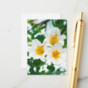 Rustic White lilies - Lilium candidum Enclosure Card