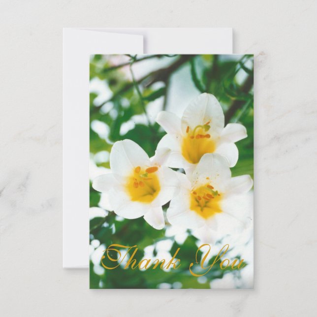 Rustic White lilies - Lilium candidum  Thank You Card (Front)