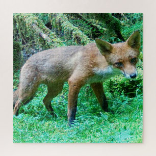 Rustic Wild Fox Cub Woodland Serenity Nature Art Jigsaw Puzzle