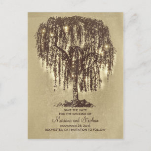 rustic willow tree & string lights save the date announcement postcard