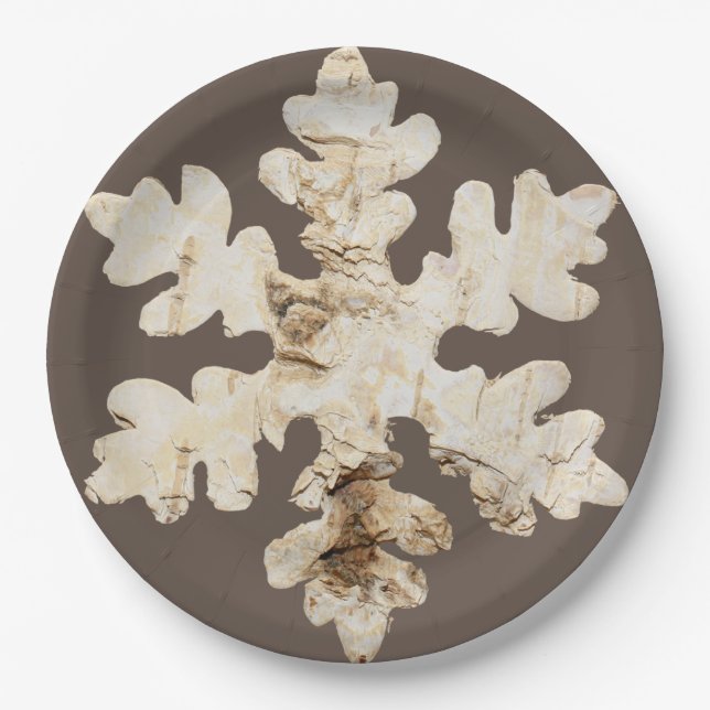 Rustic winter Birchwood snowflake brown white Paper Plate (Front)