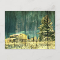 Rustic winter evergreen old barnwood cottage cabin