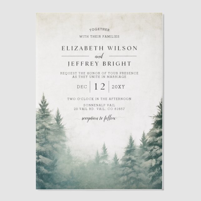 Rustic Winter Mountains Wedding Vellum Invitations (Front)