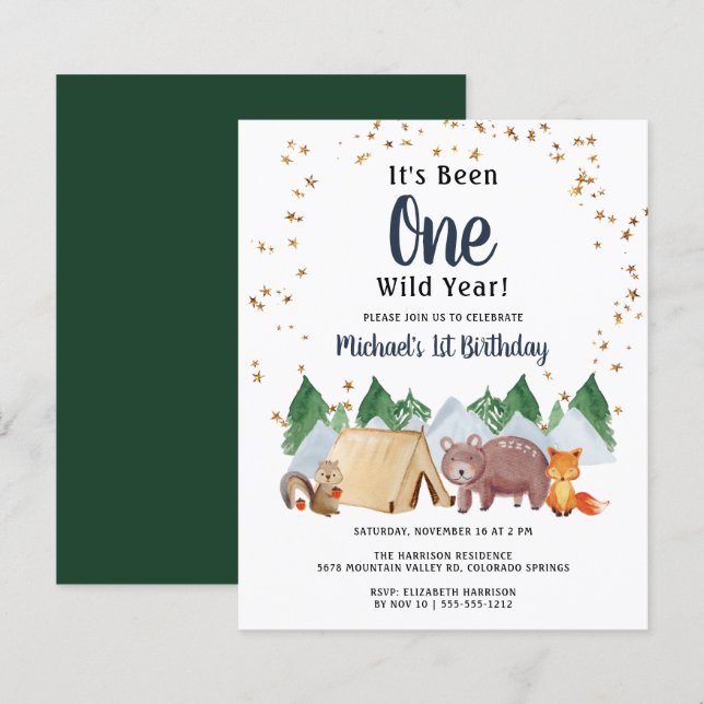 Rustic Woodland Wild One 1st Birthday Party Invita (Front/Back)