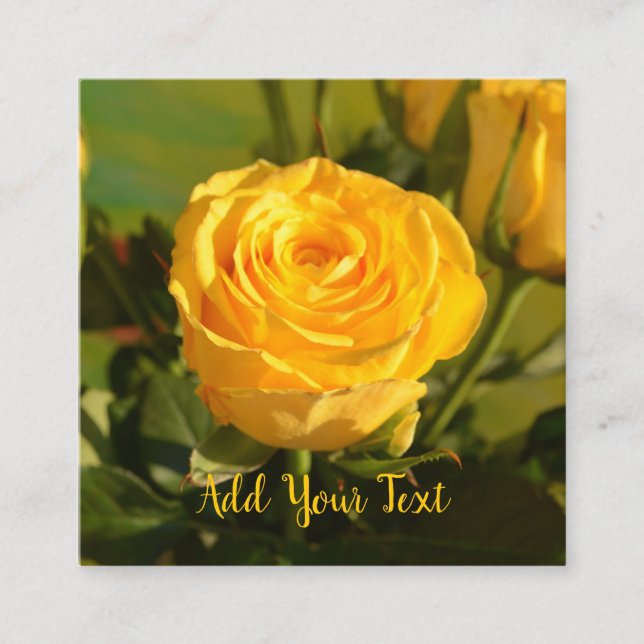 Rustic Yellow Rose Custom Text Enclosure Card (Front)