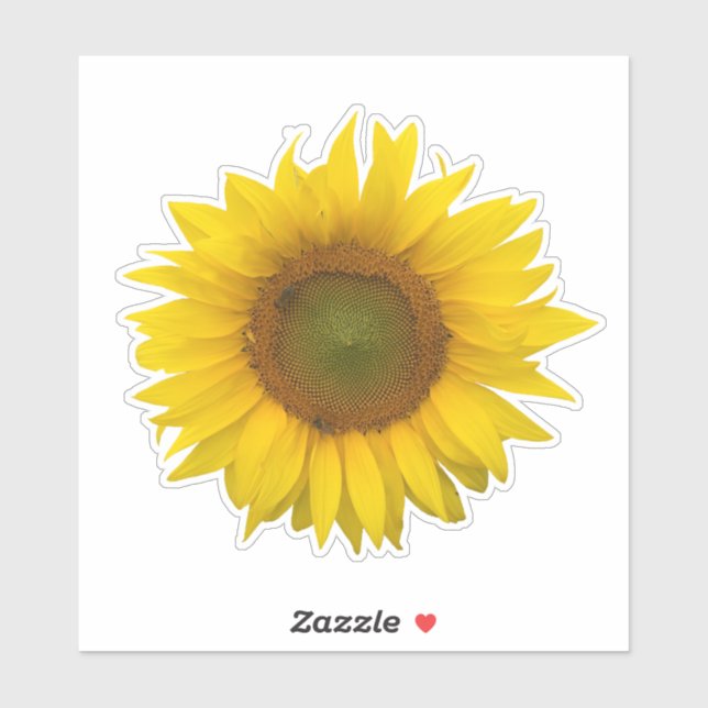 Rustic Yellow Sunflower Floral (Sheet)