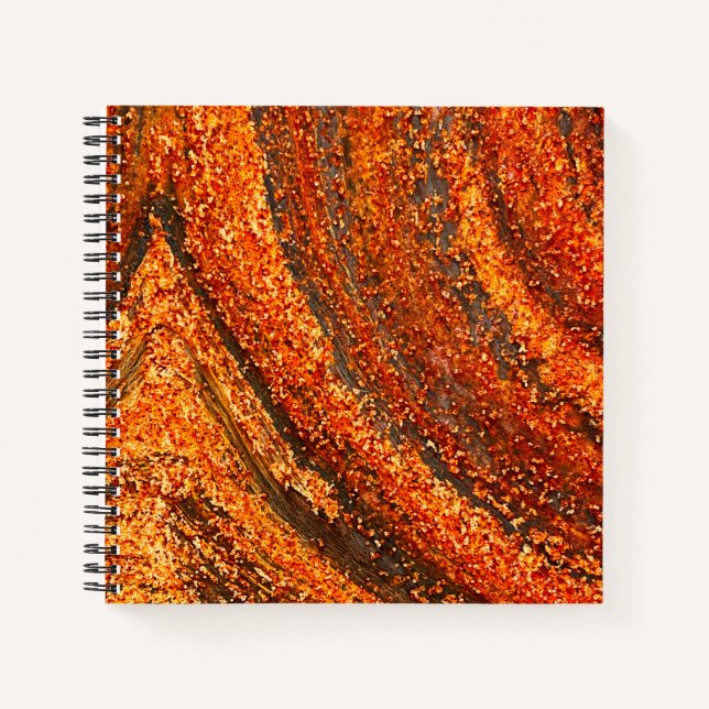 Rusty metal notebook (Front)