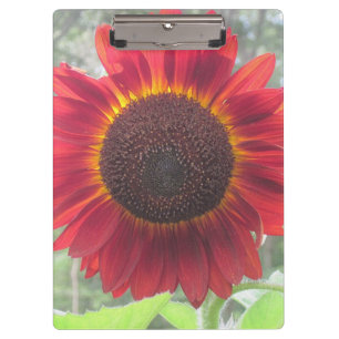 Rusty Red Sunflower Clipboard