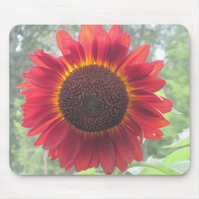 Rusty Red Sunflower Mouse Mat (Front)