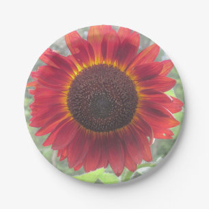 Rusty Sunflower Paper Plate