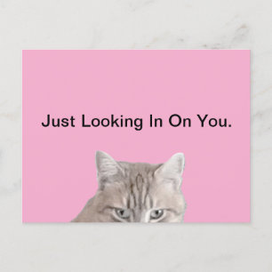 Rusty The Cat Pink Postcard