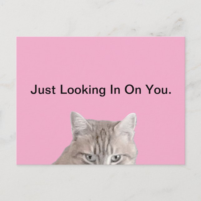 Rusty The Cat Pink Postcard (Front)