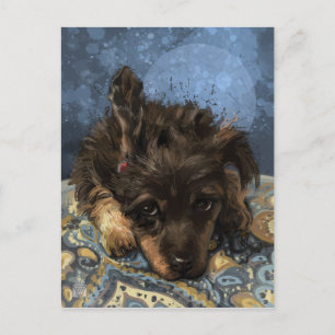 Rusty the Poodle Postcard