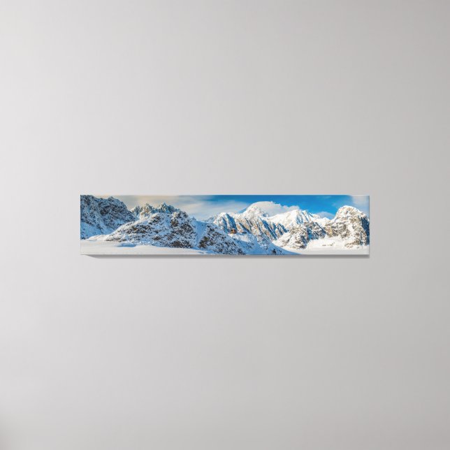 Ruth Glacier Denali National Park Pano Canvas Print (Front)