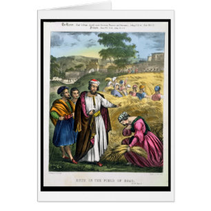 Ruth in the Field of Boaz, from a bible printed by