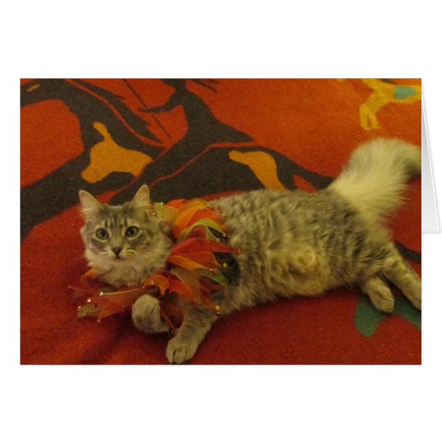 Ruthie the Cat (Front Horizontal)