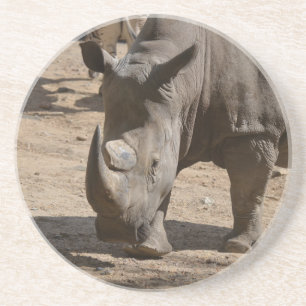 Rutting Rhino Coaster