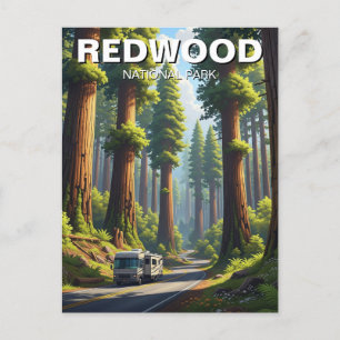 RV in Redwood National Park Postcard