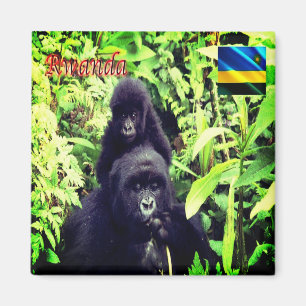 RW - Rwanda - Gorilla at  National Park Magnet