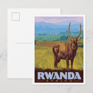 Rwanda Africa Vintage Travel Postcard