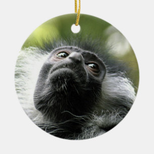Rwanda Colobus Monkey Ornament