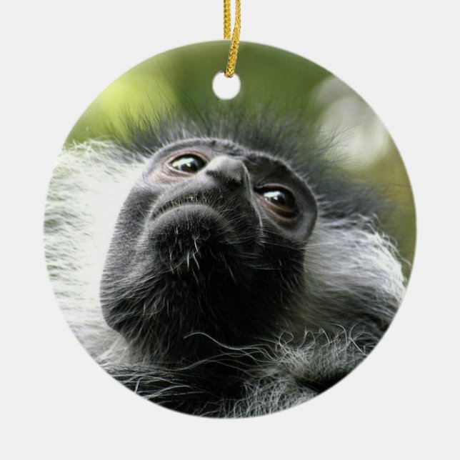 Rwanda Colobus Monkey Ornament (Front)