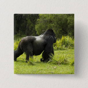 Rwanda, Volcanoes National Park 15 Cm Square Badge