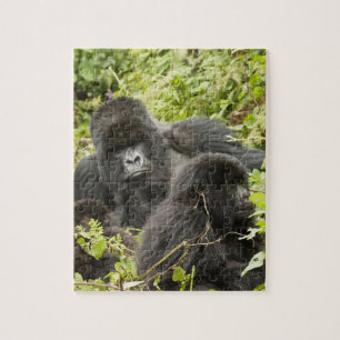 Rwanda, Volcanoes National Park Jigsaw Puzzle