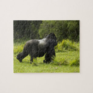Rwanda, Volcanoes National Park Jigsaw Puzzle