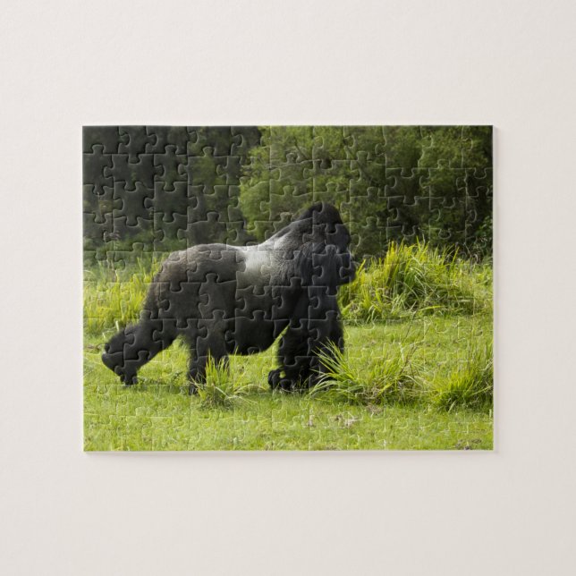 Rwanda, Volcanoes National Park Jigsaw Puzzle (Horizontal)
