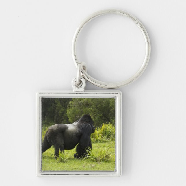 Rwanda, Volcanoes National Park Key Ring (Front)