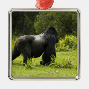 Rwanda, Volcanoes National Park Metal Tree Decoration