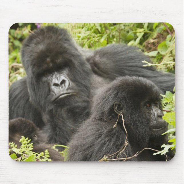 Rwanda, Volcanoes National Park Mouse Mat (Front)