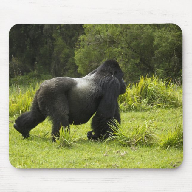 Rwanda, Volcanoes National Park Mouse Mat (Front)