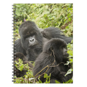 Rwanda, Volcanoes National Park Notebook