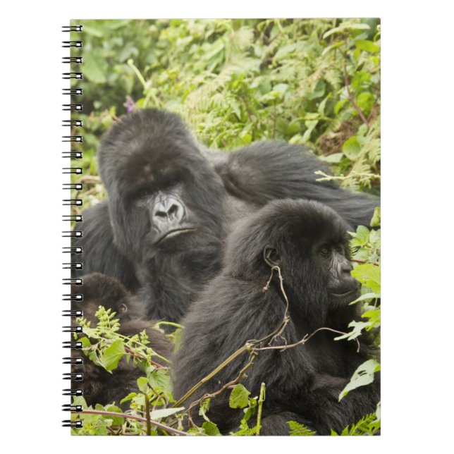 Rwanda, Volcanoes National Park Notebook (Front)